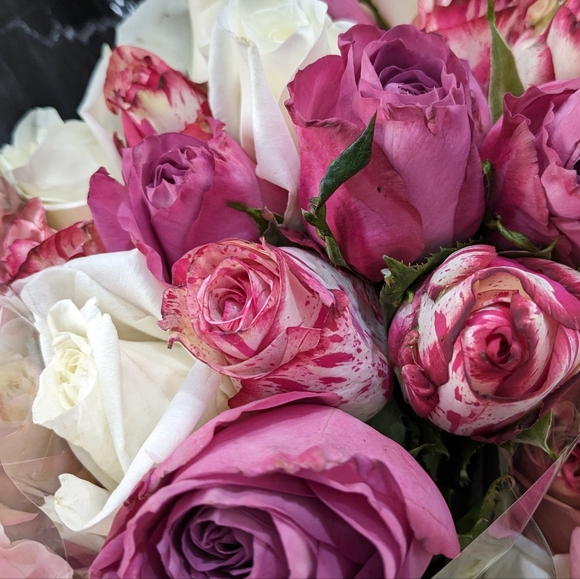 Meet your Posher, Donita - Picture 1 of 1